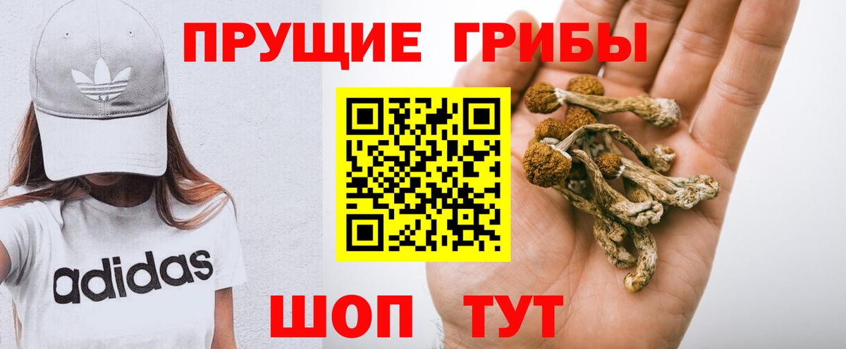 Галлюциногенные грибы мухоморы Борзя